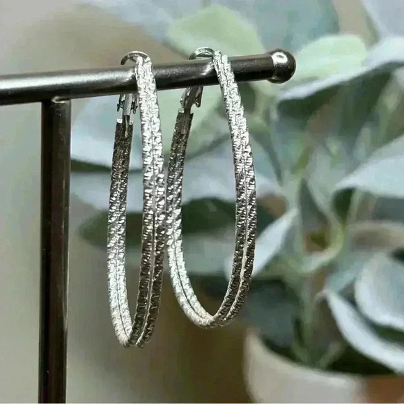 Pair of Silver Tone Double Hoop Loops Hoop Earrings - Picture 1 of 2